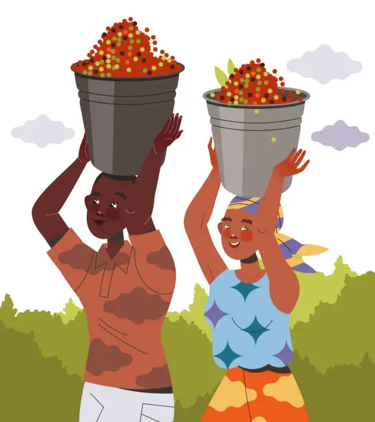 Vector illustration of Man and Woman Character Harvesting Coffee Carrying Bucket with Fresh Fruit on Head Vector Illustration