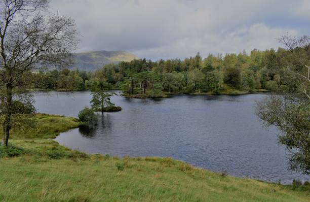 istock Tarn Hows lake, Lake District National Park, UK 1457061629