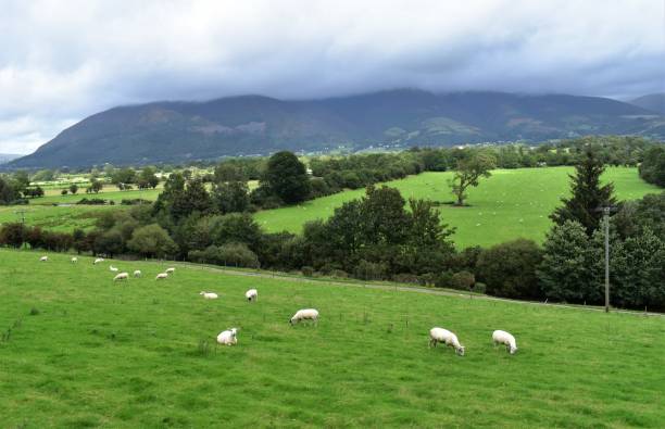 istock Lake District National Park 1457061658