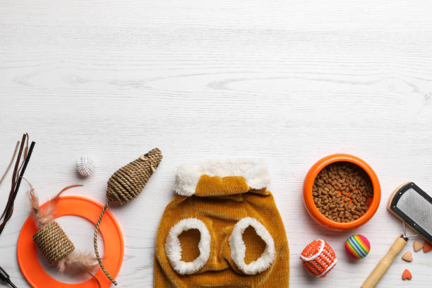 istock Flat lay composition with cat clothes, food and accessories on white wooden table. Space for text 1457062636
