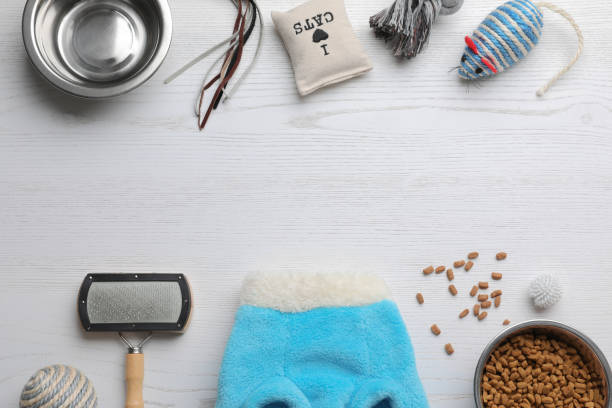 Flat lay composition with cat clothes, food and accessories on white wooden table. Space for text