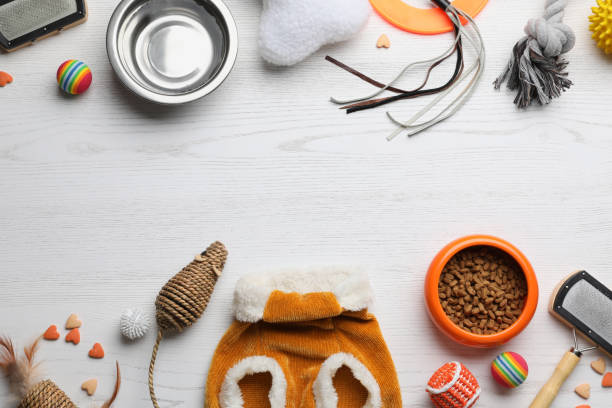 Flat lay composition with cat clothes, food and accessories on white wooden table. Space for text