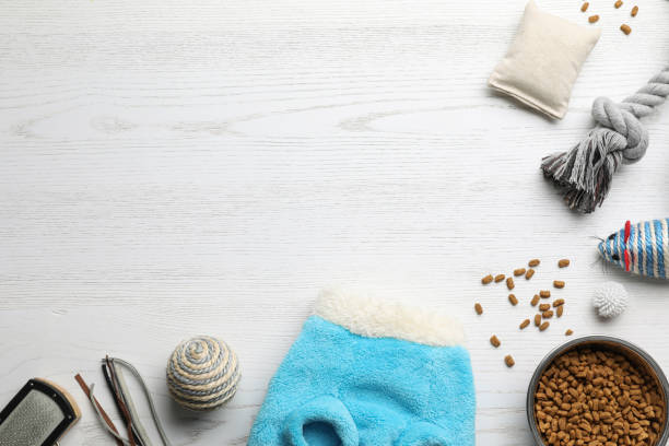 istock Flat lay composition with cat clothes, food and accessories on white wooden table. Space for text 1457064014