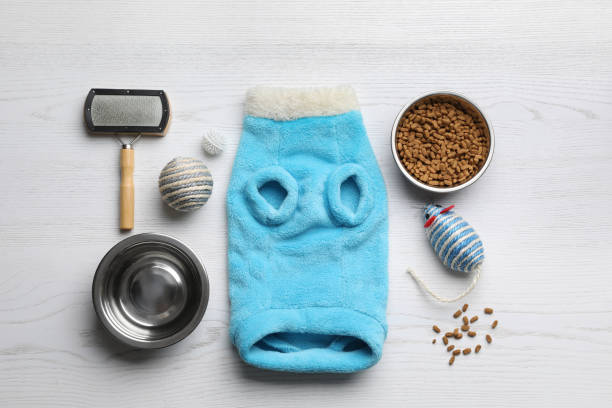istock Flat lay composition with clothes, food and accessories for cat on white wooden table 1457064190