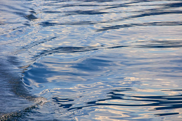istock A wave on the surface of the water behind the ship 1457066848
