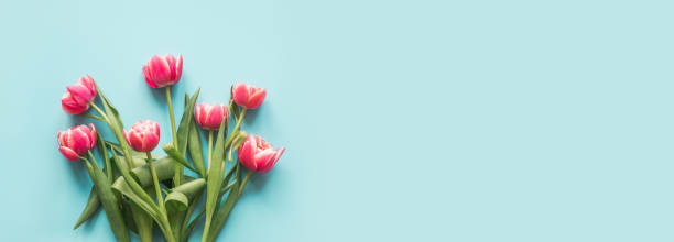ブルーの赤いチューリップのブーケ。コピースペースを持つ上面ビュー。 - bouquet mothers day tulip flower ストックフォトと画像