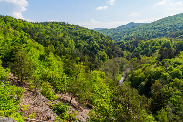 istock Tomasovsky vyhlad, Slovakia 1457067998