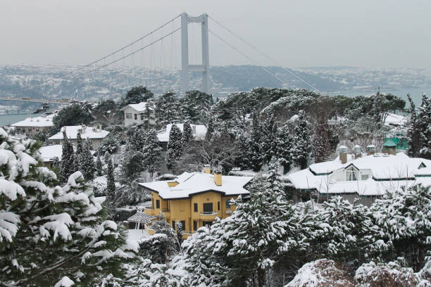 istock Snowy day in Istanbul 1457069046