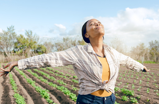 Farmer, freedom and woman feeling carefree and joy on agriculture field or plantation before harvest. Free, african american female and eco friendly field for ecology, eco and earth for farming