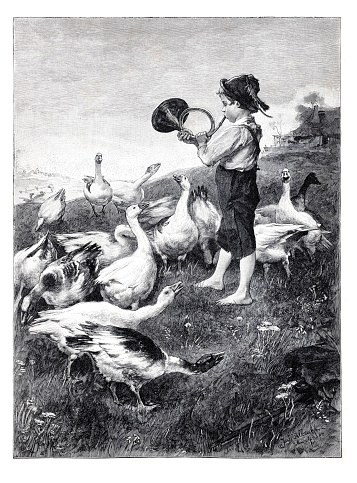 Bavarian boy tending goose on meadow 1899
Original edition from my own archives
Source : Ilustración Artística 1899
after José Albrecht