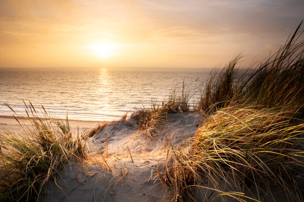 istock warm golden sunset over north sea beach 1457074965