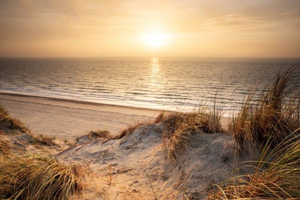 sunset beach view from dune stock photo