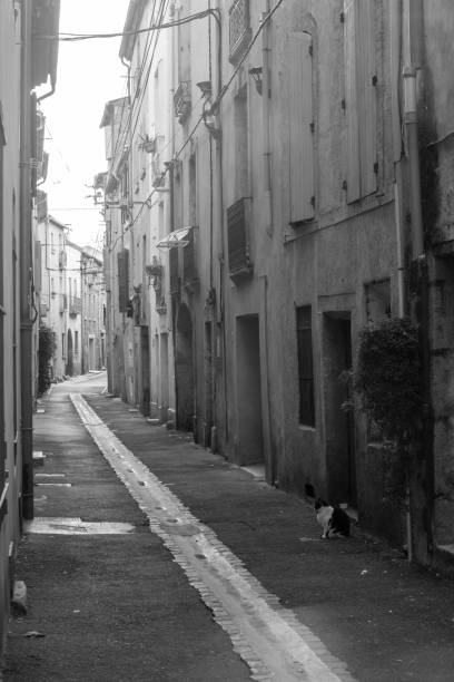 istock Cobbled alley in an old village 1457080129