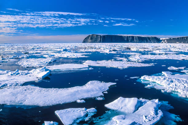 vista sulla costa rocciosa delle svalbard - ice pack foto e immagini stock