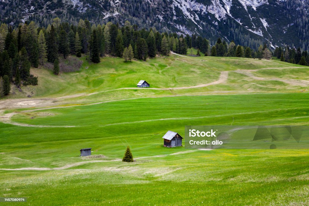 Prato Piazza, Plaetzwiese. South Tyrol, Dolomites Alto Adige - Italy Stock Photo