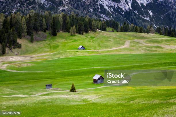 Prato Piazza Plaetzwiese South Tyrol Dolomites Stock Photo - Download Image Now - Alto Adige - Italy, Color Image, Dolomites