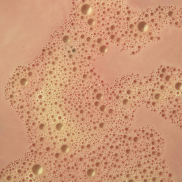 istock Pink background decorated with tiny little soap bubbles of white color abstract whole 1457084250