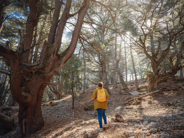 istock caucasian woman enjoys being in nature, 1457086797