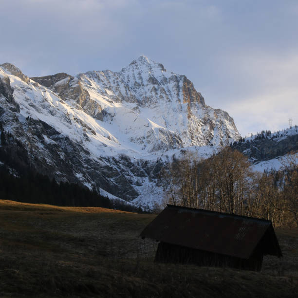 prato illuminato dal sole e monte arpelistock coperto di neve. - bernese oberland gstaad winter snow foto e immagini stock