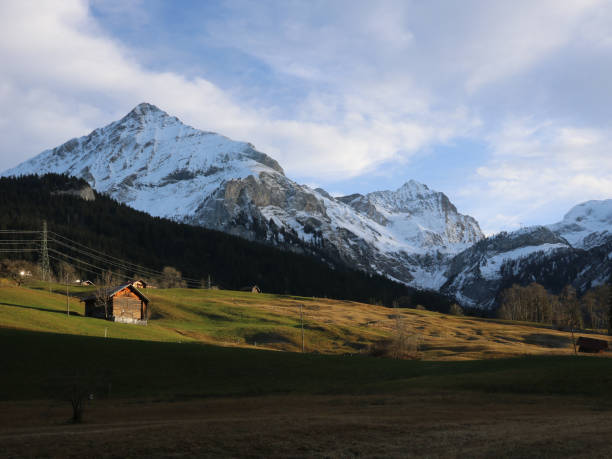 istock Green meadow and snow covered mountains Spitzhorn and Arpelistock. 1457087655