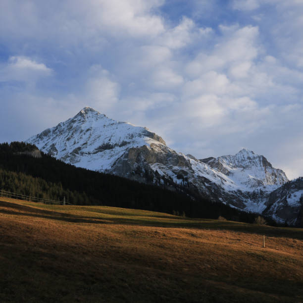 monte spitzhorn e arpelistock, svizzera. - bernese oberland gstaad winter snow foto e immagini stock