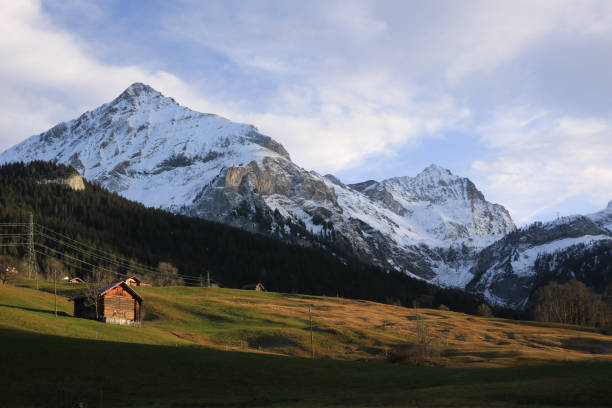 prato verde e montagne innevate spitzhorn e arpelistock. - bernese oberland gstaad winter snow foto e immagini stock