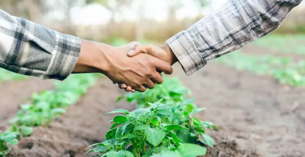 Photo of Farm, handshake closeup and partnership collaboration success outdoors. Farmer, welcome and shaking hands for eco friendly sustainability teamwork, thank you or b2b farming business deal agreement