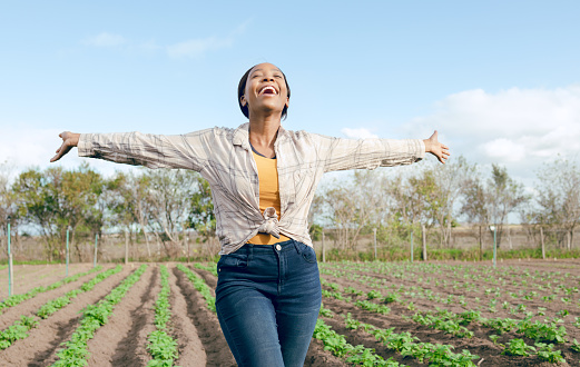 Farm, freedom and black woman feeling carefree and happy on an agriculture, eco friendly and sustainable field. Free, land and farming with african american female enjoying her agricultural harvest