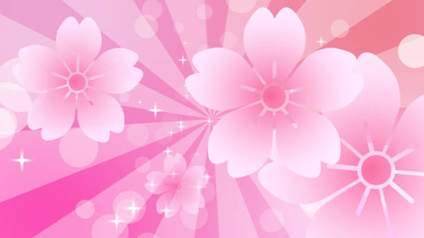 ilustrações de stock, clip art, desenhos animados e ícones de cherry blossom and lights with pink background - pink background frame femininity pink