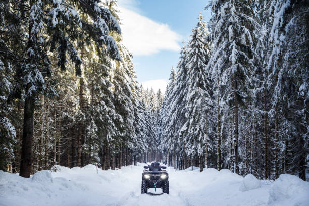reaching the remote location in the woods with an atv - off road vehicle snow 4x4 driving imagens e fotografias de stock