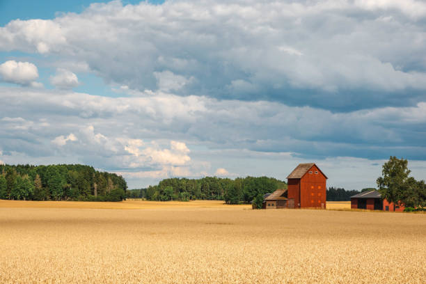 Agricultural landscape of an old rustic red barn in a field on a Maryland farm during Autumn with fall colors and hay bales