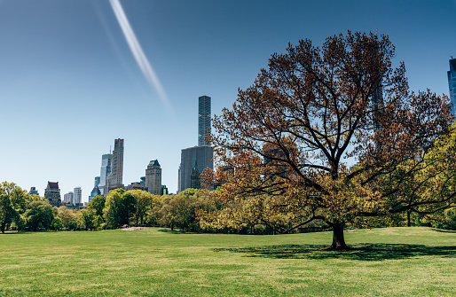 cityscape in central park