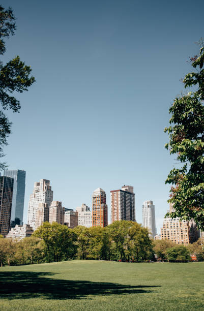 istock cityscape in central park 1457092278