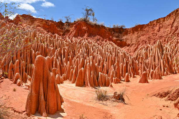istock Red Tsingy – Tsingy Rouge - near Diego Suarez, Madagascar 1457093253