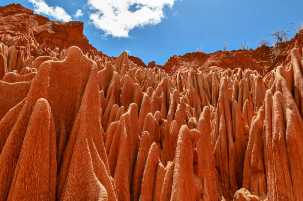 istock Red Tsingy – Tsingy Rouge - near Diego Suarez, Madagascar 1457094380