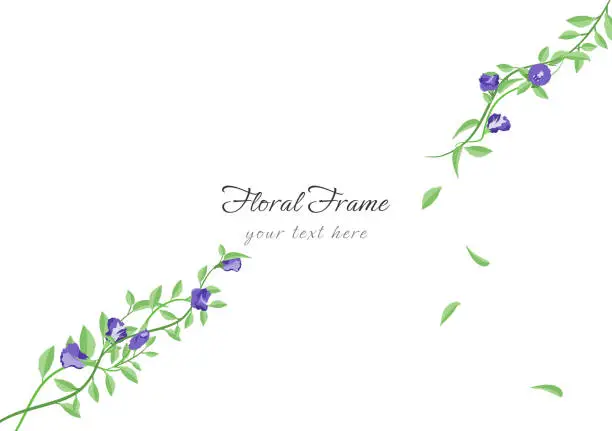 Vector illustration of beautiful butterfly pea floral frame background ep01