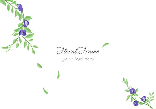 Vector illustration of beautiful butterfly pea floral frame background ep02