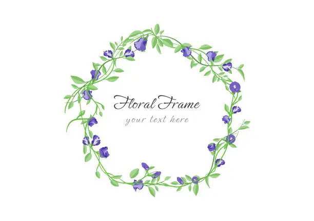 Vector illustration of blooming butterfly pea flower frame vector