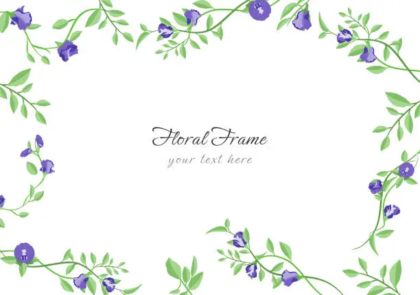 Vector illustration of blooming butterfly pea flower rectangle frame vector