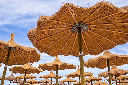 Straw beach umbrellas on the Tanca Manna beach, in the northeast coast of Sardinia