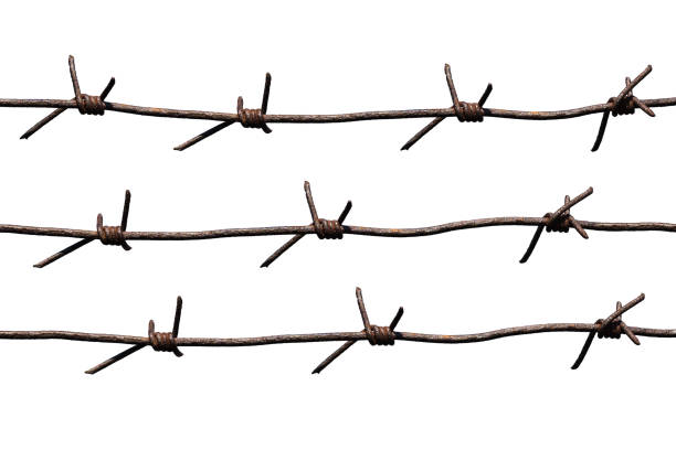 Old rusty barbed wire isolated on white background stock photo
