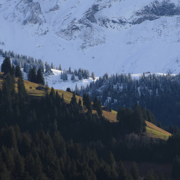 due stagioni contemporaneamente. - bernese oberland gstaad winter snow foto e immagini stock