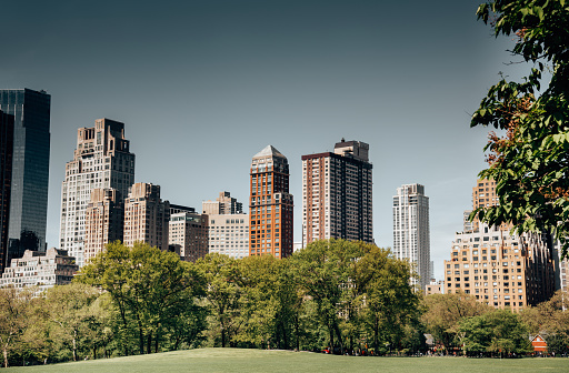 Paisaje urbano en Central Park photo
