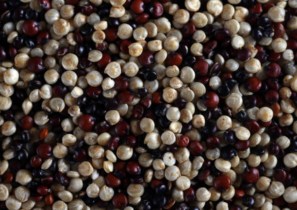 istock macro background cereals - quinoa healthy food 1457105092
