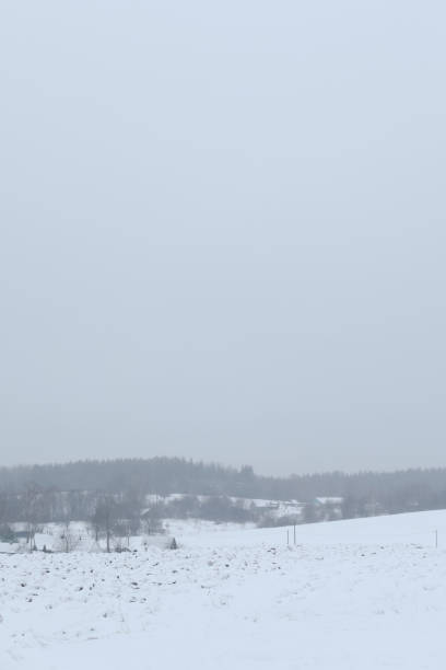 ländlich schöne winterlandschaft. nicht-urbane szene. neujahr, weihnachten. malerische aussicht auf die landschaft an einem frostigen wintertag - winter non urban scene snow tree stock-fotos und bilder