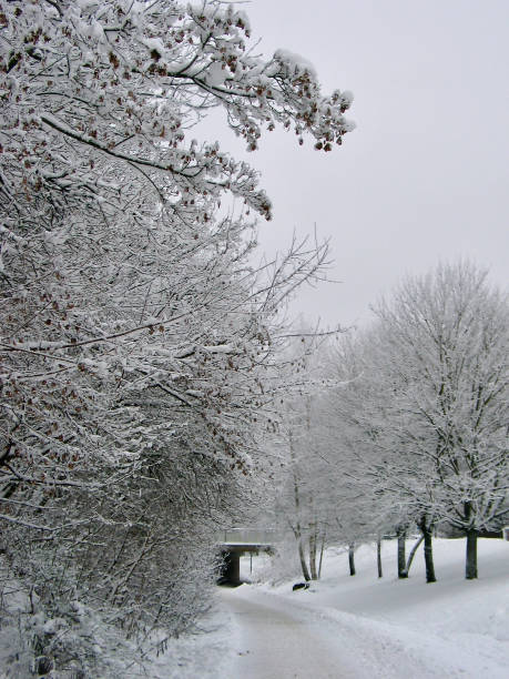 istock Walkway in winter landscape. 1457110585