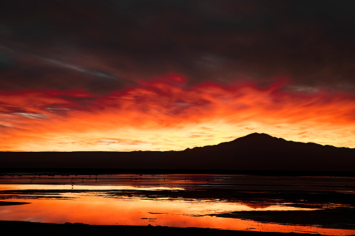 Sunset reflection in a lake in Atacama with some flamingos