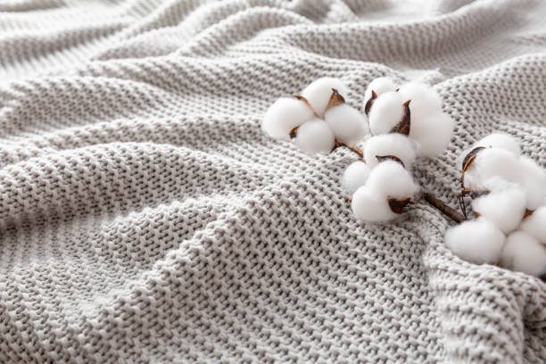 istock Cozy grey blanket with cotton flowers and copy space 1457113116