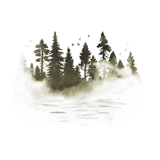 Akwarela mglisty las iglasty z rzeką w brązowych kolorach. Wektorowa sylwetka drzew. Natura ręcznie rysowana ilustracja z plamami – artystyczna grafika wektorowa