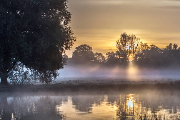 istock October misty sunrise at Bushy Park 1457116877